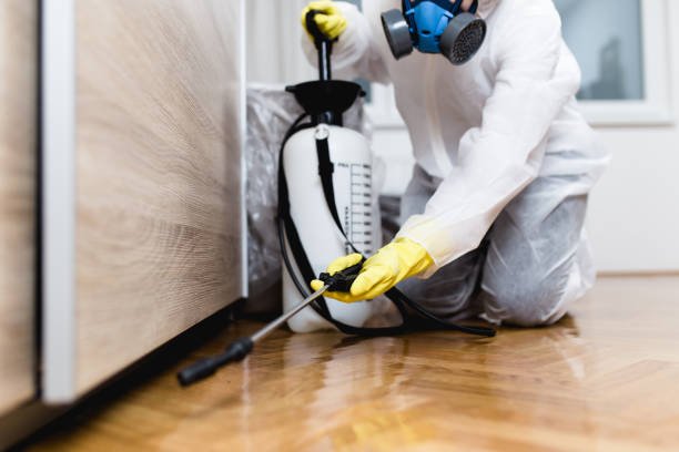 Best Pest Prevention Services  in Estherville, IA