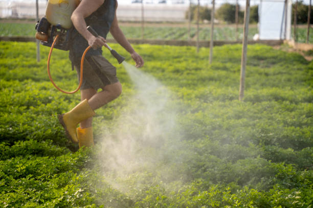 Best Exterminator Services  in Estherville, IA
