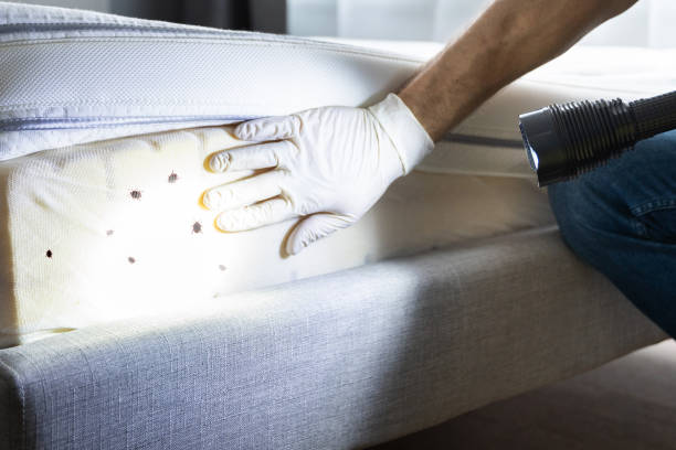 Best Pest Control Near Me  in Estherville, IA