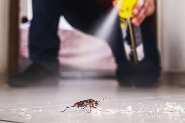 Reliable Estherville, IA Pest Control Solutions