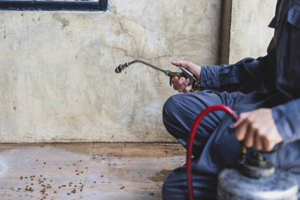 Best Affordable Pest Control Services  in Estherville, IA